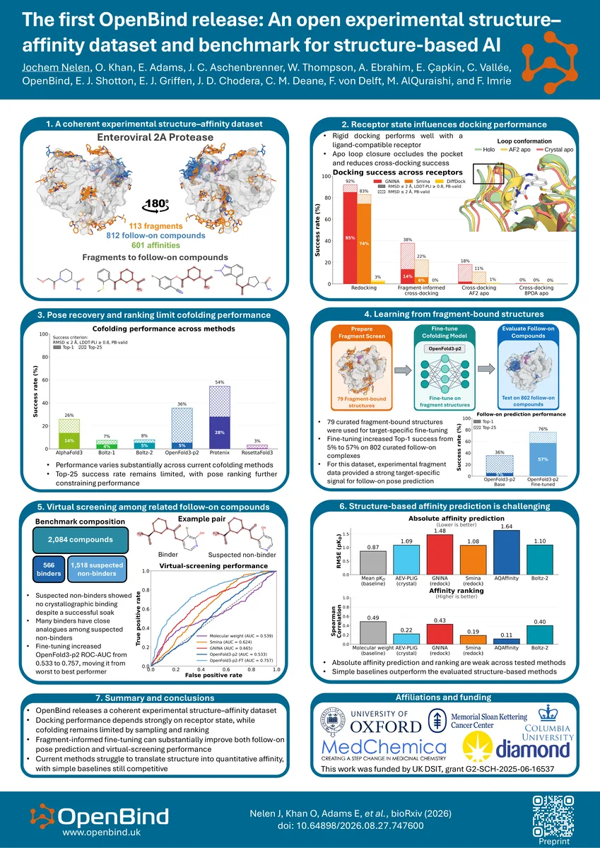 Preview of the OpenBind release poster